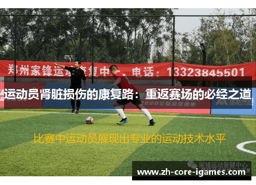 运动员肾脏损伤的康复路:重返赛场的必经之道 运动员肾脏损伤的康复路:重返赛场的必经之道