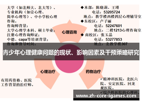 青少年心理健康问题的现状、影响因素及干预策略研究 青少年心理健康问题的现状、影响因素及干预策略研究