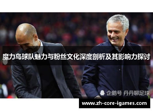 魔力鸟球队魅力与粉丝文化深度剖析及其影响力探讨 魔力鸟球队魅力与粉丝文化深度剖析及其影响力探讨