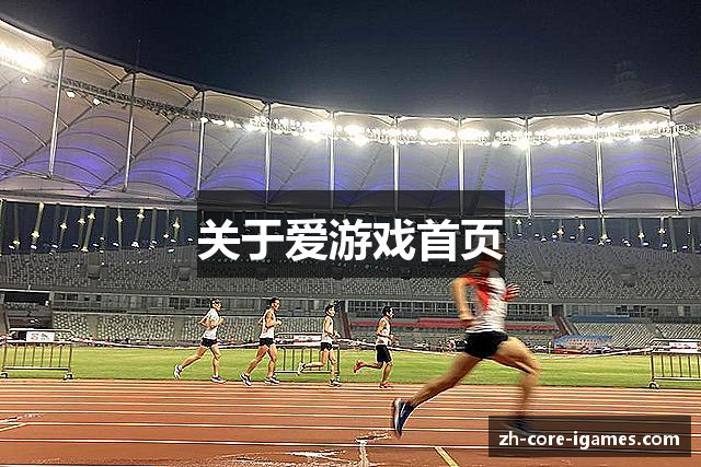 关于爱游戏首页
